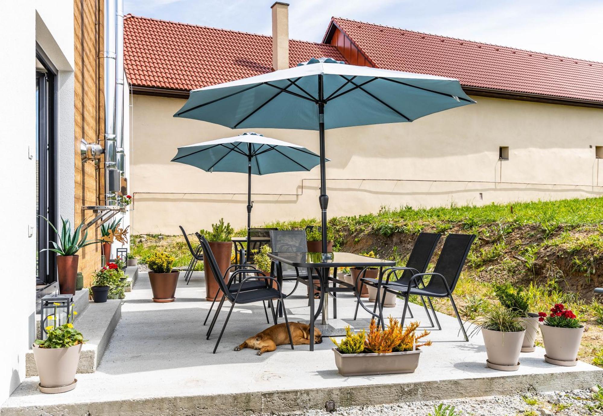 Sunny Apartment With Free Parking Zwoleń Zewnętrze zdjęcie